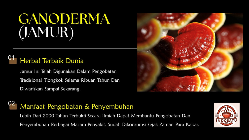 Jamur Ganoderma memiliki manfaat pengobatan