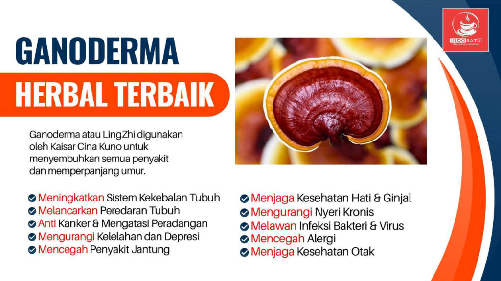 Ganoderma herbal terbaik